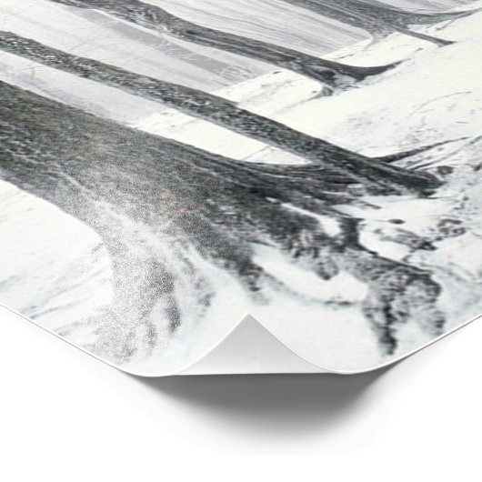 Impression Photo L'hiver dans les bois (Coin)