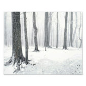 Impression Photo L'hiver dans les bois (Devant)