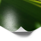 Impression Photo libellule (Coin)