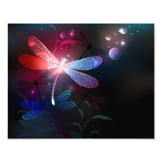 Impression Photo libellule rouge brillante (Devant)