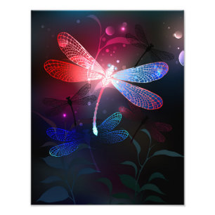 Impression Photo libellule rouge brillante