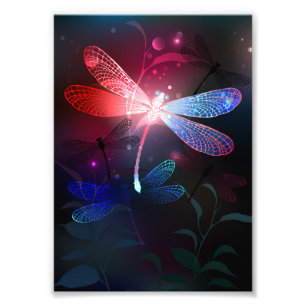 Impression Photo Libellule rouge lumineuse