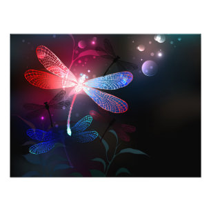 Impression Photo Libellule rouge lumineuse