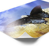 Impression Photo Liberté des papillons (Coin)