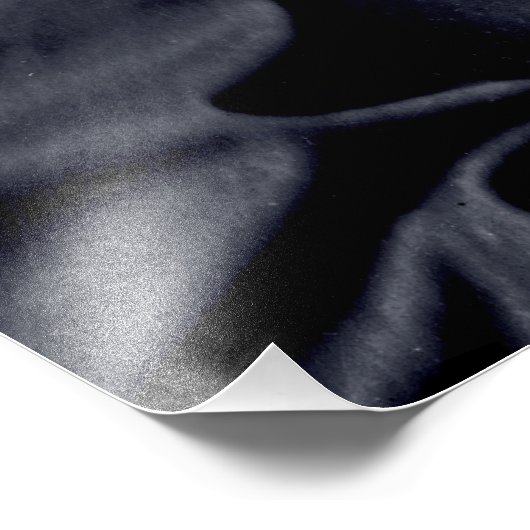 Impression Photo Lieutenant-général Ulysses S. Grant (Coin)