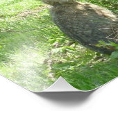 Impression Photo Lièvre de raquette assis debout (Coin)