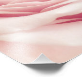 Impression Photo Light Pink Rose Flower (Coin)