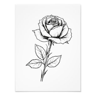 Impression Photo Ligne artistique rose noir et blanc