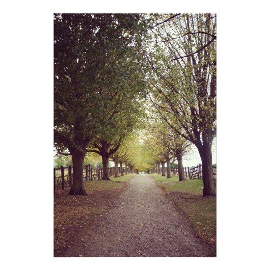 Impression Photo Ligne d'arbres de bois (Devant)