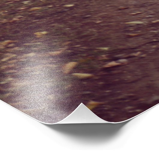 Impression Photo Ligne forestière (Coin)