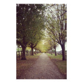 Impression Photo Ligne forestière (Devant)