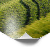 Impression Photo Lignes courbes en vert Toscane (Coin)