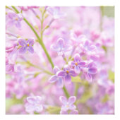 Impression Photo Lilac Fleurs Mist (Devant)