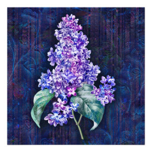 Impression Photo Lilas pourpre sur fond décoratif marine