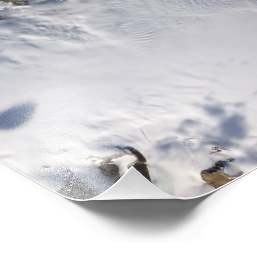 Impression Photo L'île de glace (Coin)