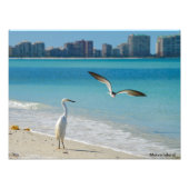 Impression Photo L'île Marco (Devant)