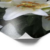 Impression Photo Lilies blanches 19"x13" (Coin)