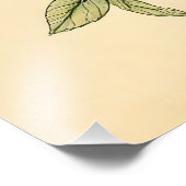 Impression Photo L'Illustration (Coin)