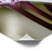 Impression Photo Lily (Coin)