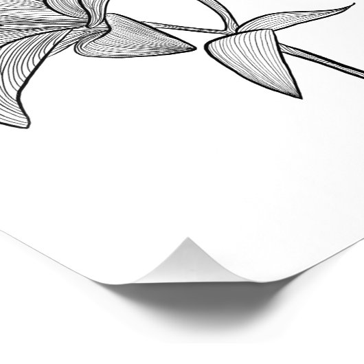 Impression Photo Lily (Coin)