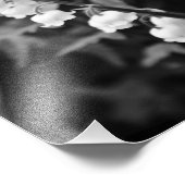 Impression Photo Lily de la Vallée (Coin)