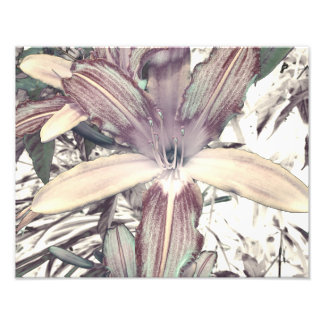 Impression Photo Lily Love
