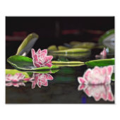 Impression Photo Lily Pads (Devant)