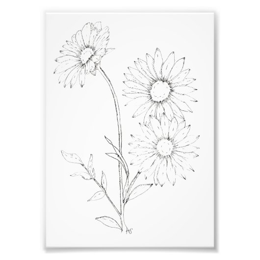 Impression Photo Lines & Petals (Devant)