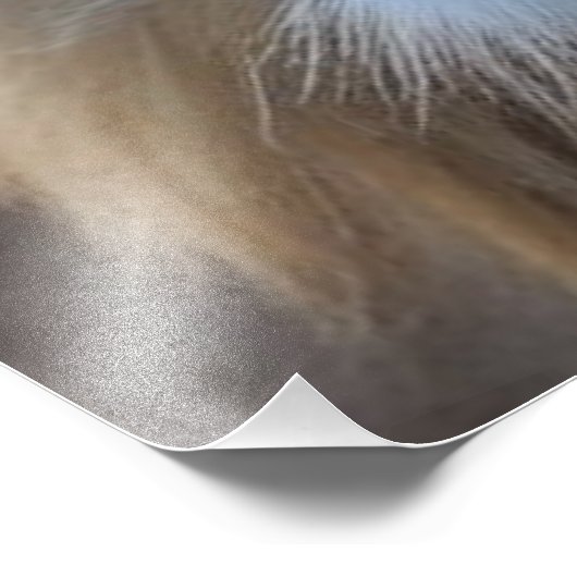 Impression Photo Lion (Coin)