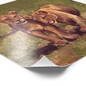 Impression Photo Lion Cubs (Coin)