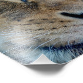 Impression Photo Lion endormie (Coin)