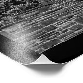 Impression Photo Lion Garden (Coin)