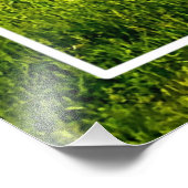 Impression Photo Lion le roi de la forêt (Coin)