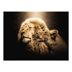 Impression Photo Lion Lionne Animal Sauvage Safari Afrique Jungle M
