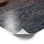 Impression Photo Lioness le matin (Coin)