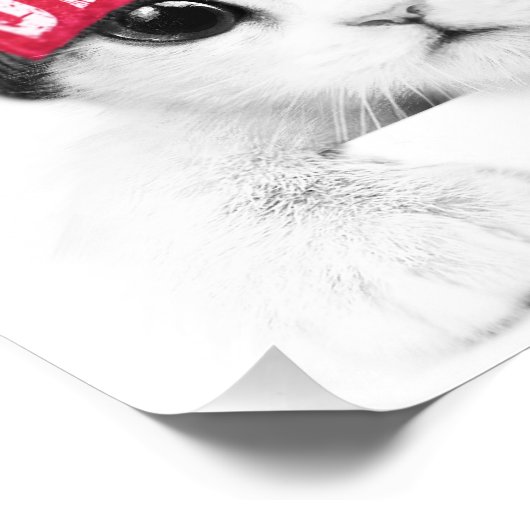 Impression Photo Little Cat (Coin)