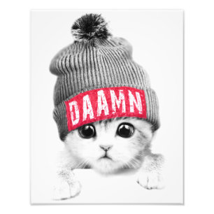 Impression Photo Little Cat