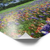 Impression Photo Live Oak & Texas Paintbrush et Texas (Coin)