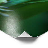 Impression Photo Lizard d'Anole Verte (Coin)