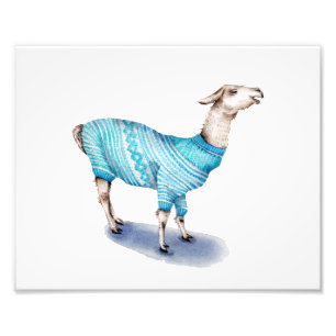Impression Photo Llama dans le pull bleu