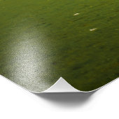 Impression Photo Loch Oich Sheep (Coin)