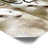 Impression Photo Logo de l'armée des suricates, (Coin)