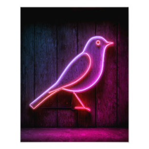 Impression Photo L'Oiseau