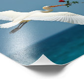 Impression Photo L'oiseau voyageur (Coin)