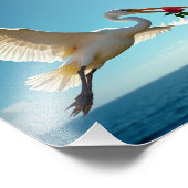 Impression Photo L'oiseau voyageur (Coin)