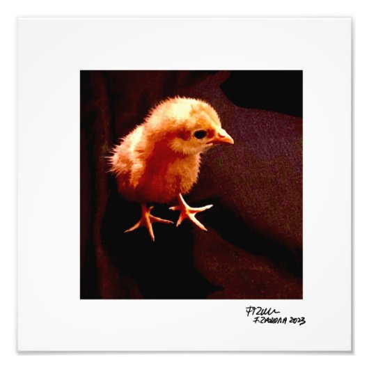 Impression Photo Lonely Kid (Devant)