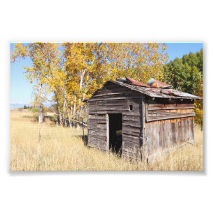 Impression Photo Lonely Little Shed