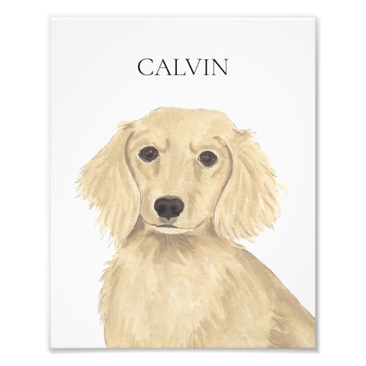Impression Photo Long Haired Cream Dachshund Art (Devant)