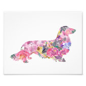 Impression Photo Long Haired Dachshund (Devant)