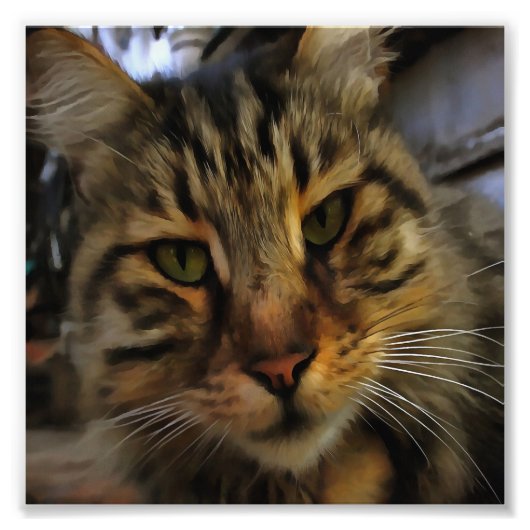 Impression Photo Long Haired Tabby Chat Artistique Portrait d'anima (Devant)